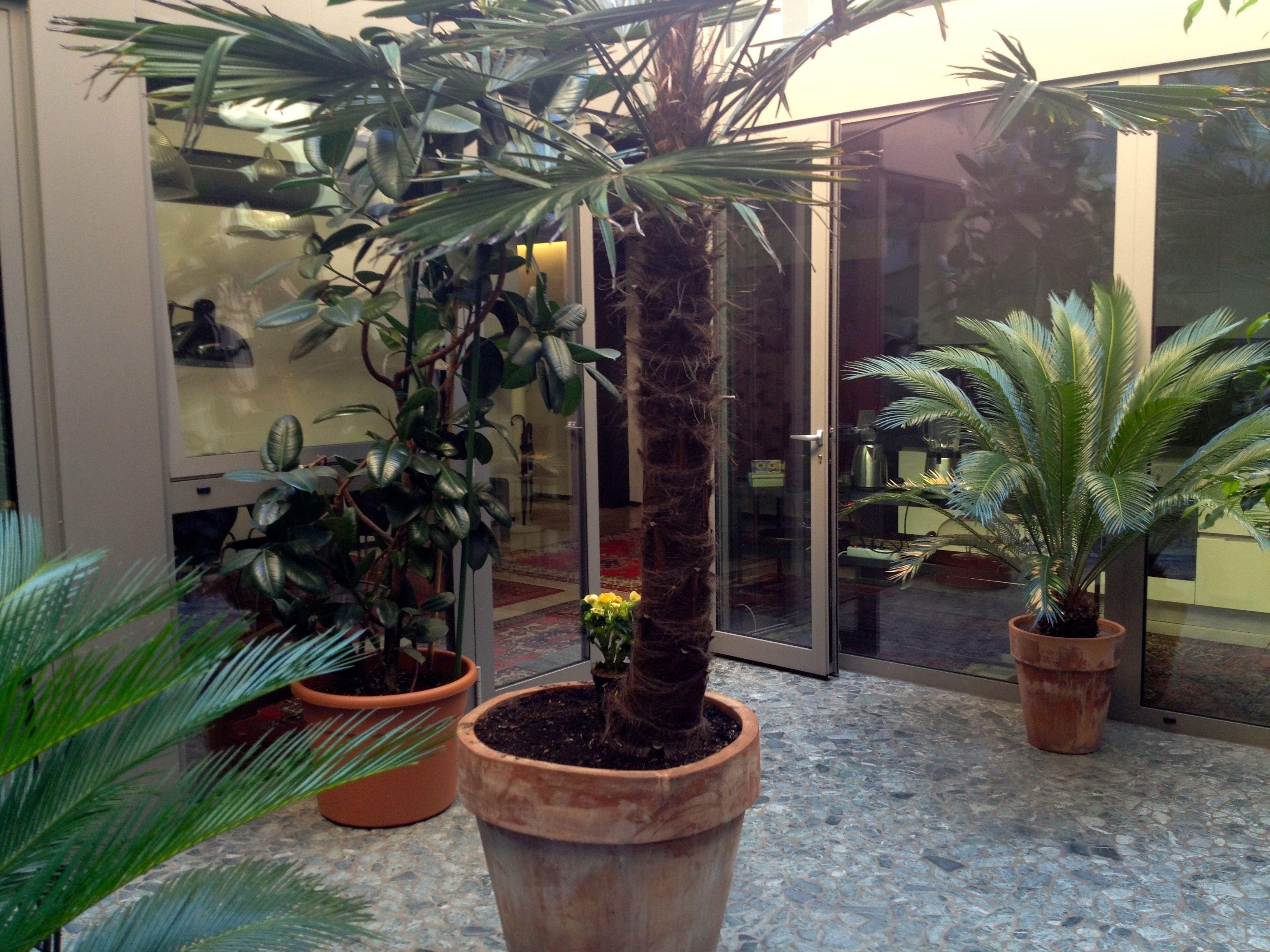 Loft Verona The Original — Photos 2